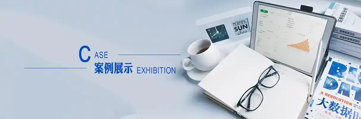 洛扎县软件开发